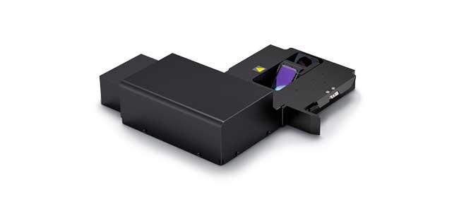 Dynamic Volumetric Imaging with the FV3000RS Confocal Microscope: 3D ...
