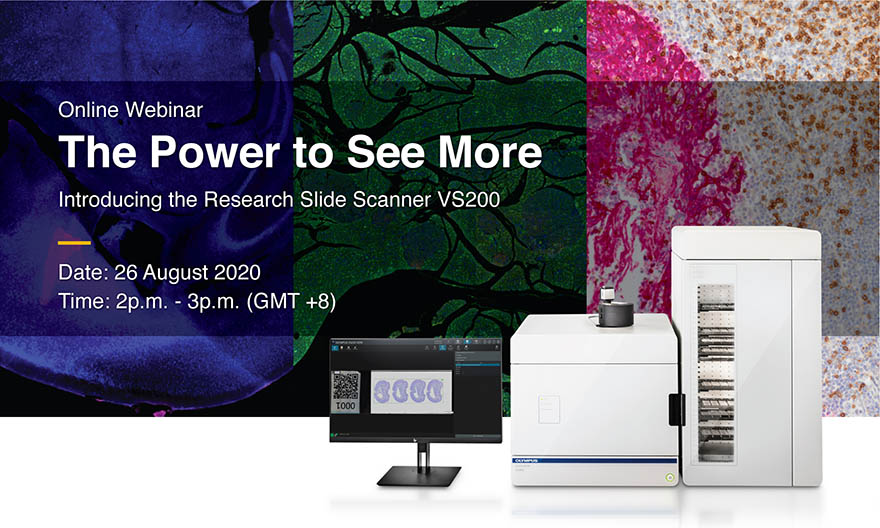 Webinar: Guidance for Quantitative Confocal Microscopy