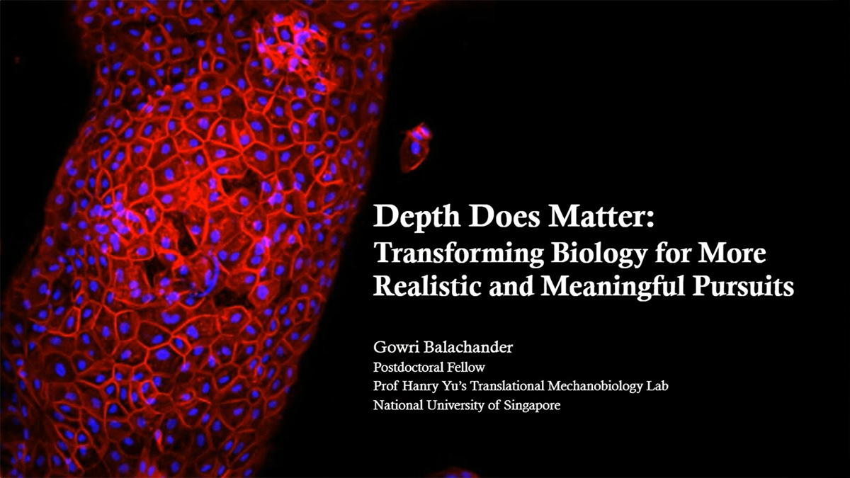 Depth Matters: Transforming Biology for More Realistic and Meaningful Pursuits
