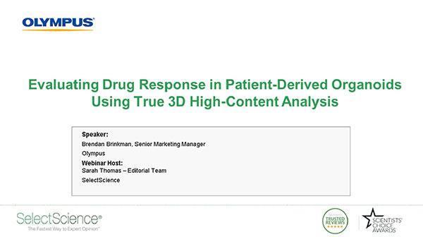 Evaluating Drug Response in Patient-Derived Organoids Using True 3D High-Content Analysis
