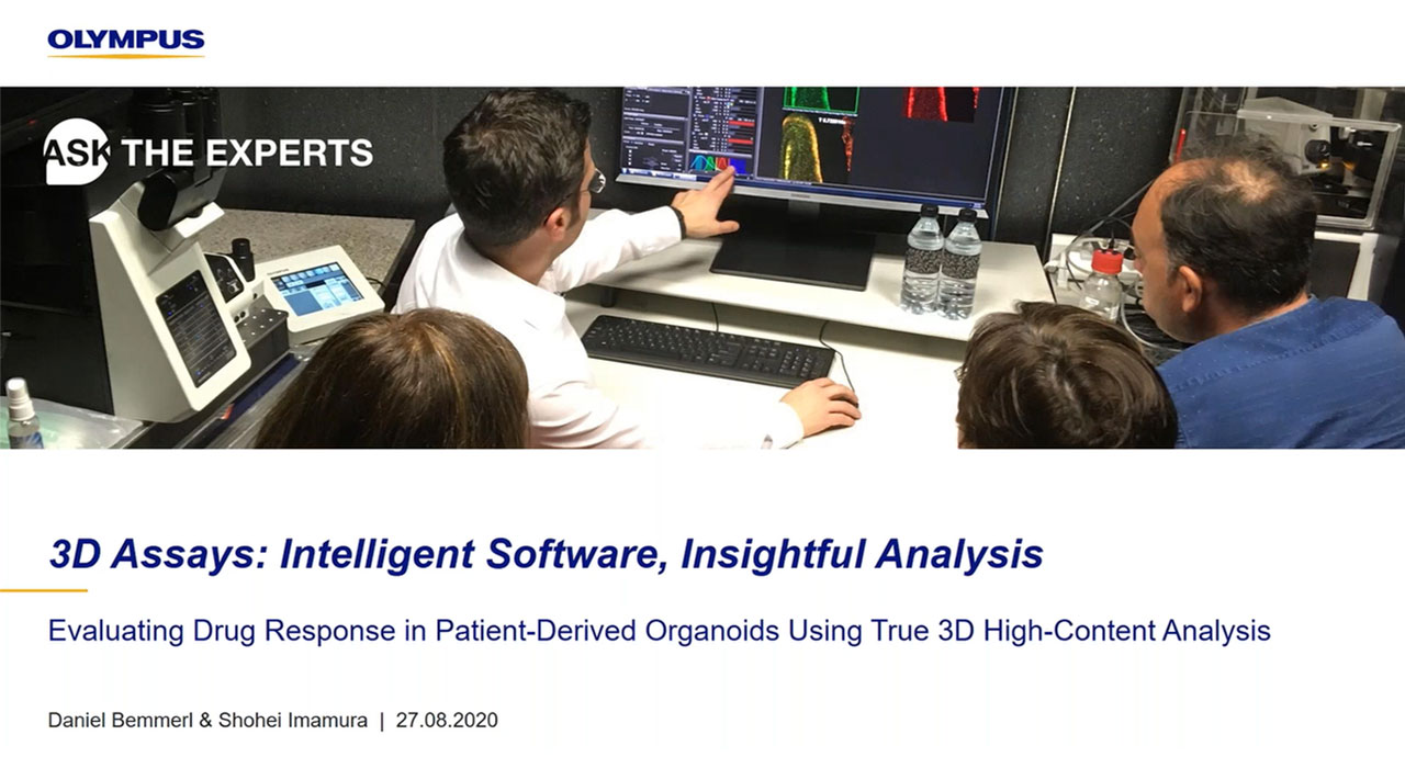 3D Assays: Intelligent Software, Insightful Analyses