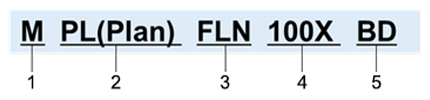 生命科学应用中的显微镜物镜规格