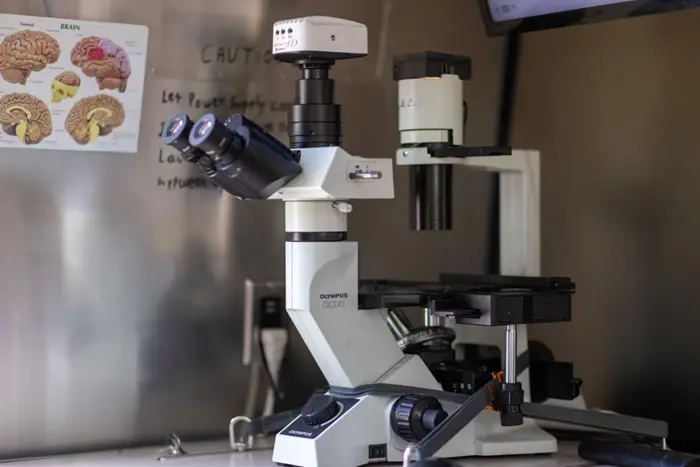 Evident CKX41 inverted microscope for cell observation.