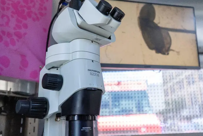 Evident SZX16 stereo microscope