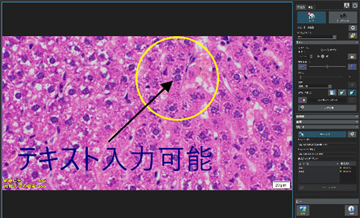 遠隔での映像共有画面イメージ　左：作業者のユーザーインターフェース