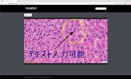 遠隔での映像共有画面イメージ　右：閲覧者に共有される映像