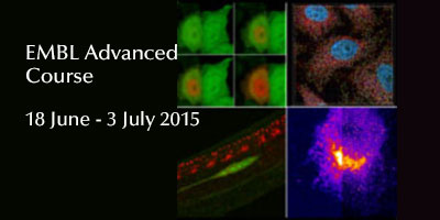 EMBL Advanced Course: Fluorescence Imaging Techniques