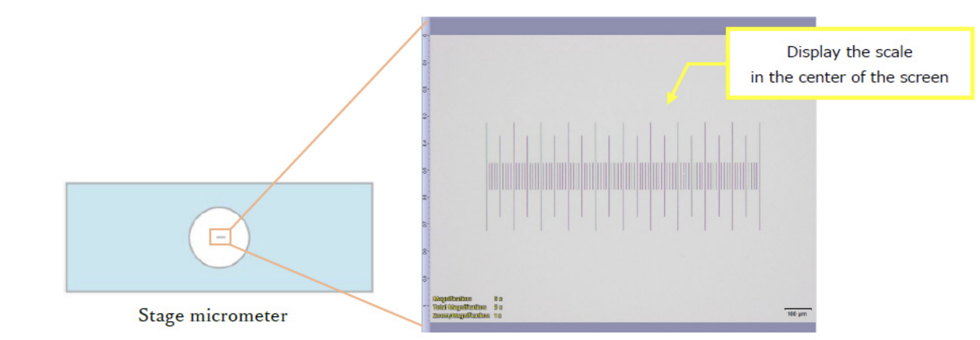 *Image shown is from cellSens software