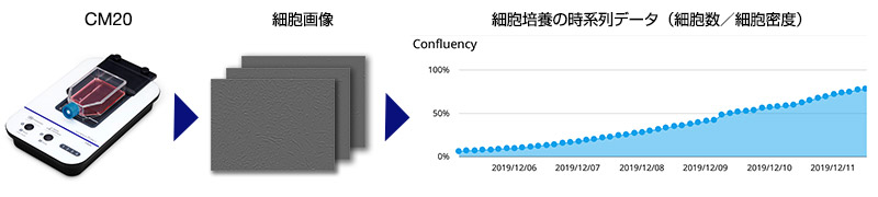 図1 細胞チェックの概念図