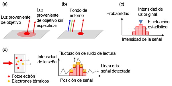 Figura 4 - Ejemplos de ruidos de fondo: a) Fondo biológico provocado a partir de una mancha no específica o autofluorescencia; b) luz ambiental de la habitación reflejada en un portaobjetos; c) ruido de emisión, d) ruidos en una cámara que contiene electrones térmicos generados en un sensor (izquierda) y ruido de lectura (derecha). Los electrones térmicos pueden reducirse enfriando el sensor. 