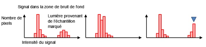 Figure 7 – Un histogramme créé avec une image normalement exposée (à gauche), sous-exposée (au centre), et surexposée avec une saturation pour le marqueur bleu (à droite). 