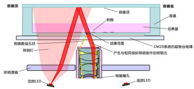 图5.落射斜式照明的配置（侧视图）