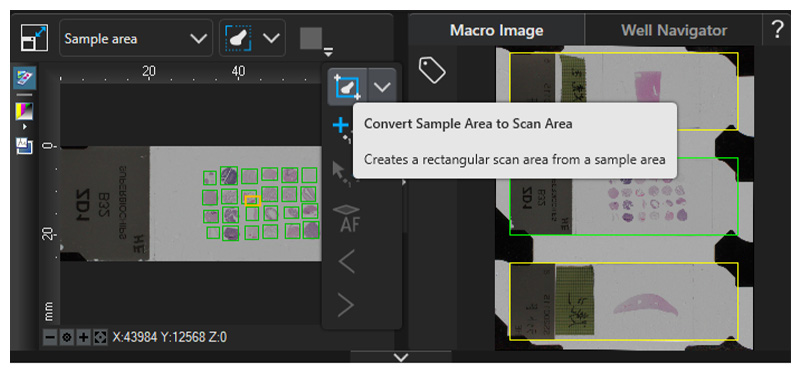 Rectangular scan area in cellSens APEX software for the APX100 microscope. 