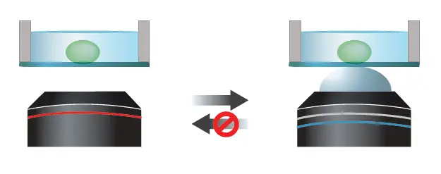 Figure 1. It is possible to switch from a dry lens (left) to an immersion lens (right), but not the other way around as liquid remains on the specimen after immersion use.