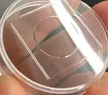 Figure 5. Container appearance after gel adhesion leaves no gel residue on the container, so the cleaning step is eliminated.