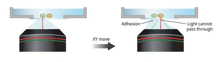 Figure 6. If part of the silicone gel detaches from the cover glass after XY movement, then some light cannot pass through the immersion medium, impacting image quality.