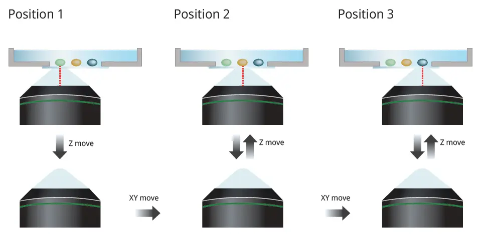 Figure 7. The silicone gel pad moves with the objective lens during multipoint acquisition
