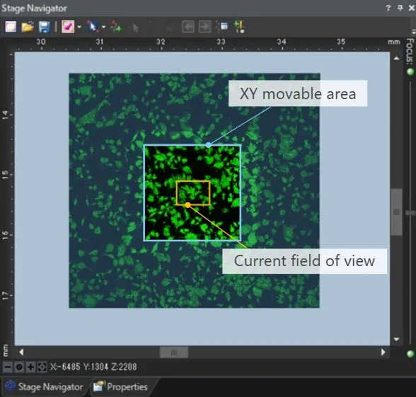 Figure 8. Visualization of the area observable with a silicone gel objective.