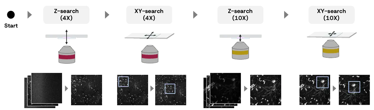Figure 5. The Overall workflow for sample position estimation: