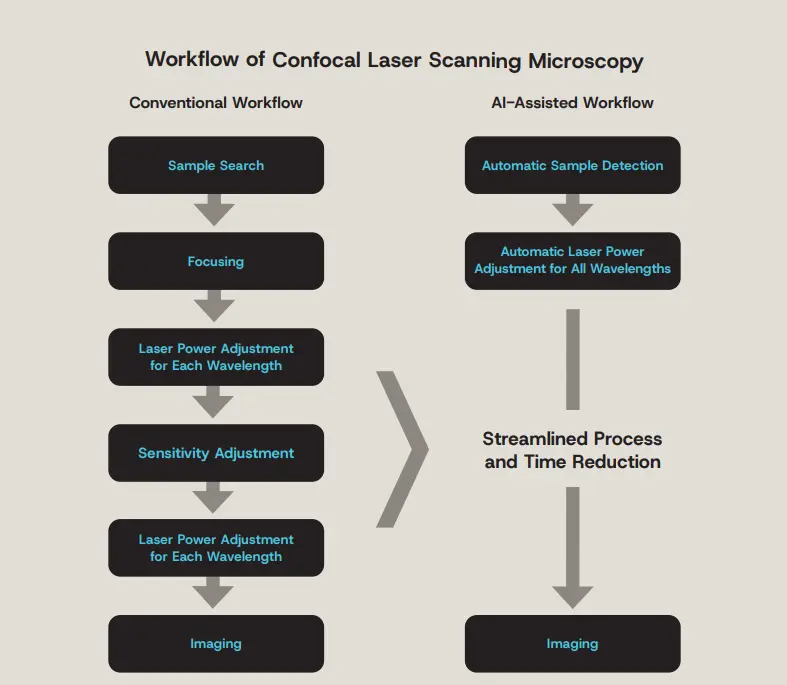 Figure 8. Streamlining confocal microscopy observation with an AI-assisted workflow