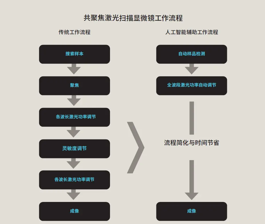 Figure 8. Streamlining confocal microscopy observation with an AI-assisted workflow