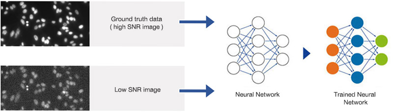 图3 训练神经网络。具有较高和次优信噪比的成对图像被用于训练任何信噪比条件下的神经网络对象检测。