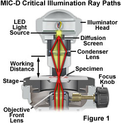 Led Collimation Microscope Light Path Image-Forming and Aperture Light Pathways - Java Tutorial | 奥林巴斯生物显微镜
