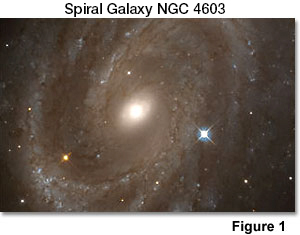 旋涡星系 4603 的图像