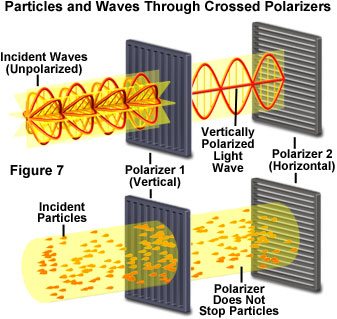 显示粒子和波通过交叉偏光器的插图