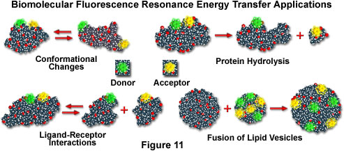 figure11