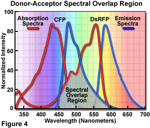 figure4