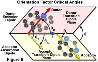 figure5