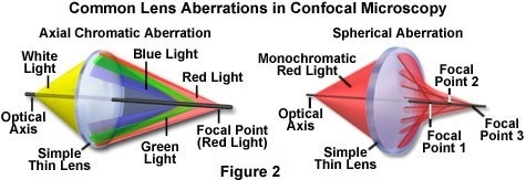 Confocal Microscopy - Confocal Microscope Objectives | 奥林巴斯生物显微镜