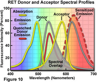 figure10