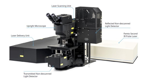 Figure 1. Multiphoton Excitation Fluorescence Microscope Configuration