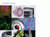 Digital Cameras for Microscopy Camera Overview