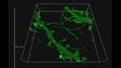 SpinSR10：神经元的3D延时图像