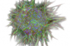 荧光图像分析——胶原凝胶中的3D微球浸润
