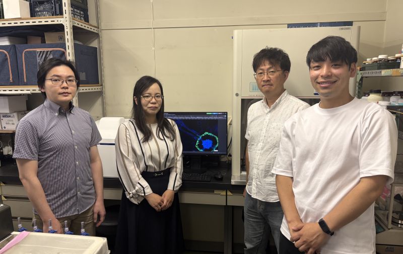 Fluorescence images of the stress group, showing the raw data and the data after signal adjustment. 