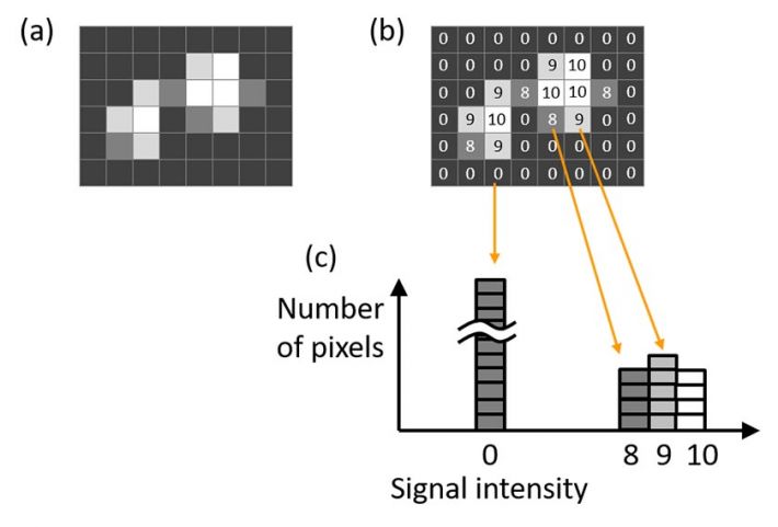 Microscope camera histogram