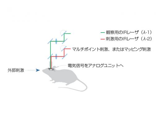 マルチポイントマップ