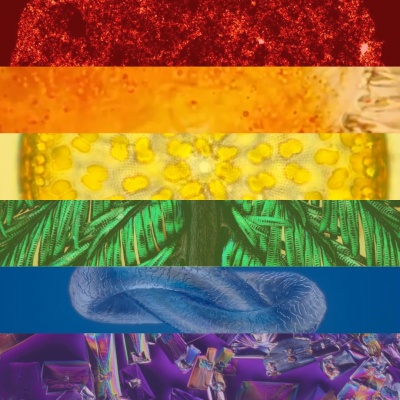 有彩虹旗特色的显微镜图像