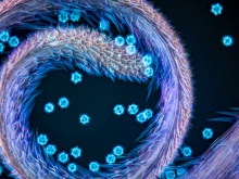 Discovering Nature’s Hidden Treasures—6th Annual Image of the Year EMEA Winner 