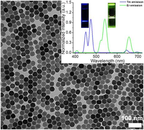 Introducing Upconversion Nanoparticles for Fluorescence Microscopy