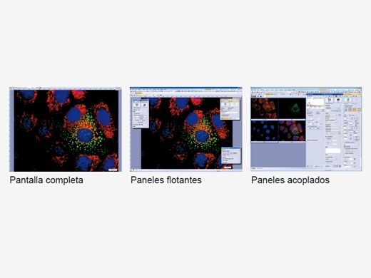 Disposición personalizable de las ventanas