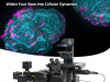 IXplore™ IX85 SpinXL Spinning Disk Confocal Microscope