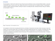 Label-Free Transmigration Assay Using scanR TruAI for Self-Learning Microscopy