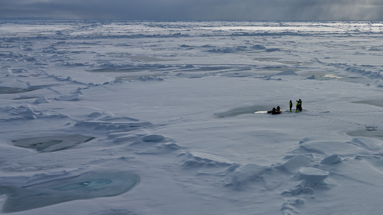 The North Pole. Image courtesy of Jan van IJken.