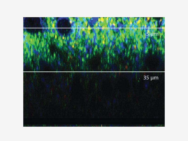 60X Standard Oil Objective