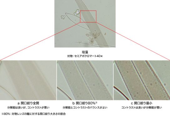 開口絞りの効果